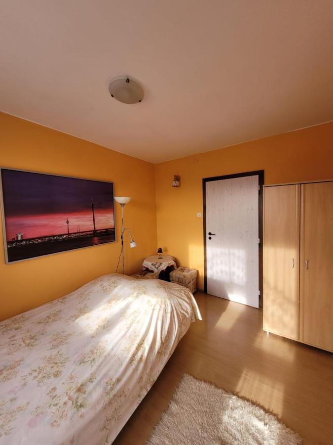 Apartament Rita Godziszka エクステリア 写真